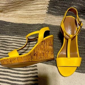 Charles David Platform Wedges